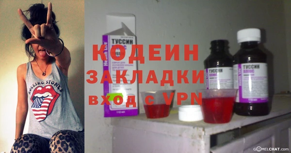 спиды Вяземский