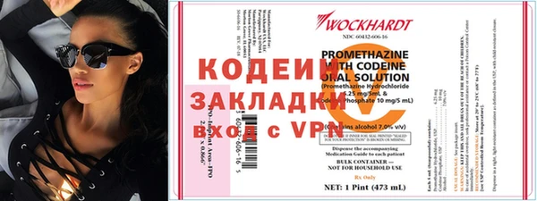 спиды Вяземский
