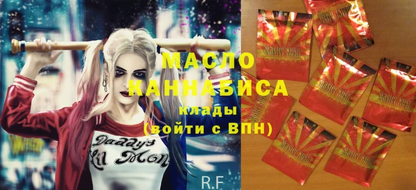 спиды Вяземский