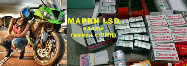 спиды Вяземский