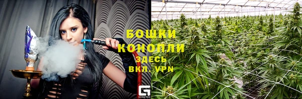 спиды Вяземский
