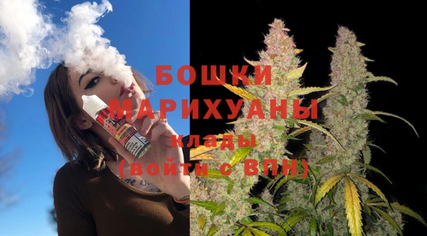 спиды Вяземский