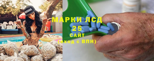 спиды Вяземский