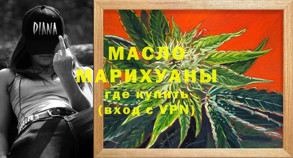 спиды Вяземский