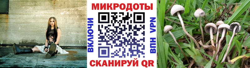 наркошоп  darknet как зайти  Псилоцибиновые грибы мухоморы  Омск 