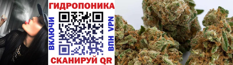 Каннабис OG Kush Омск
